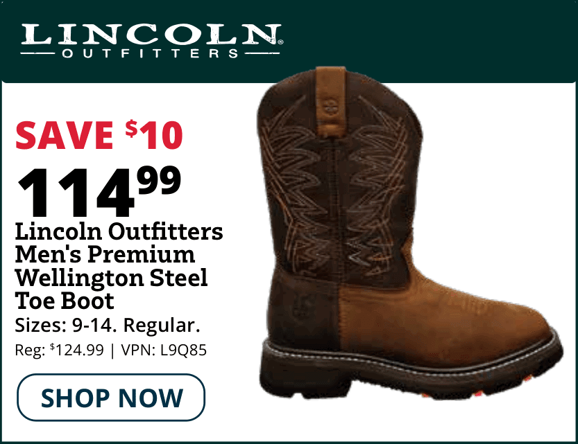 lo steel toe boot