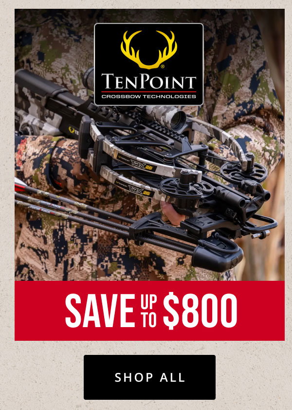 Ten Point