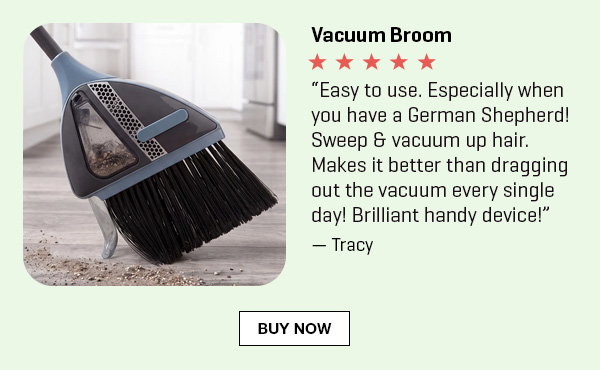 Vacuum Broom