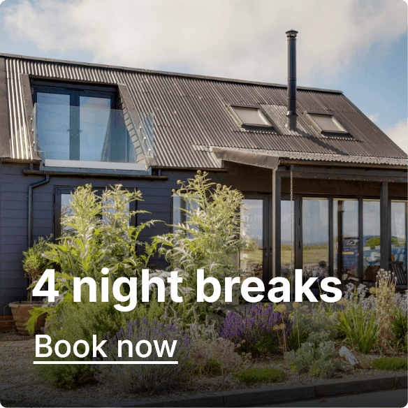 4 night breaks