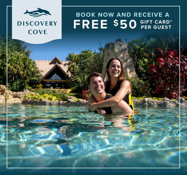 Plan your visit to Discovery Cove