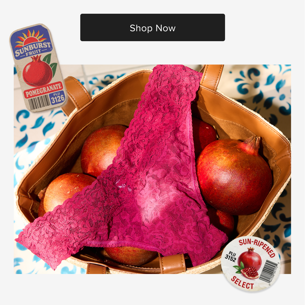 Shop Now 