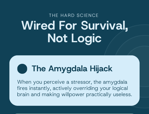 We're wired for survival, not logic.