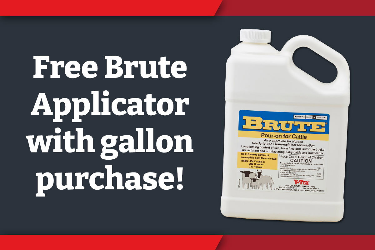 Free Brute Applicator with gallon purchase