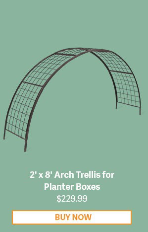 2' x 8' Arch Trellis for Planter Boxes - $229.99 - BUY NOW