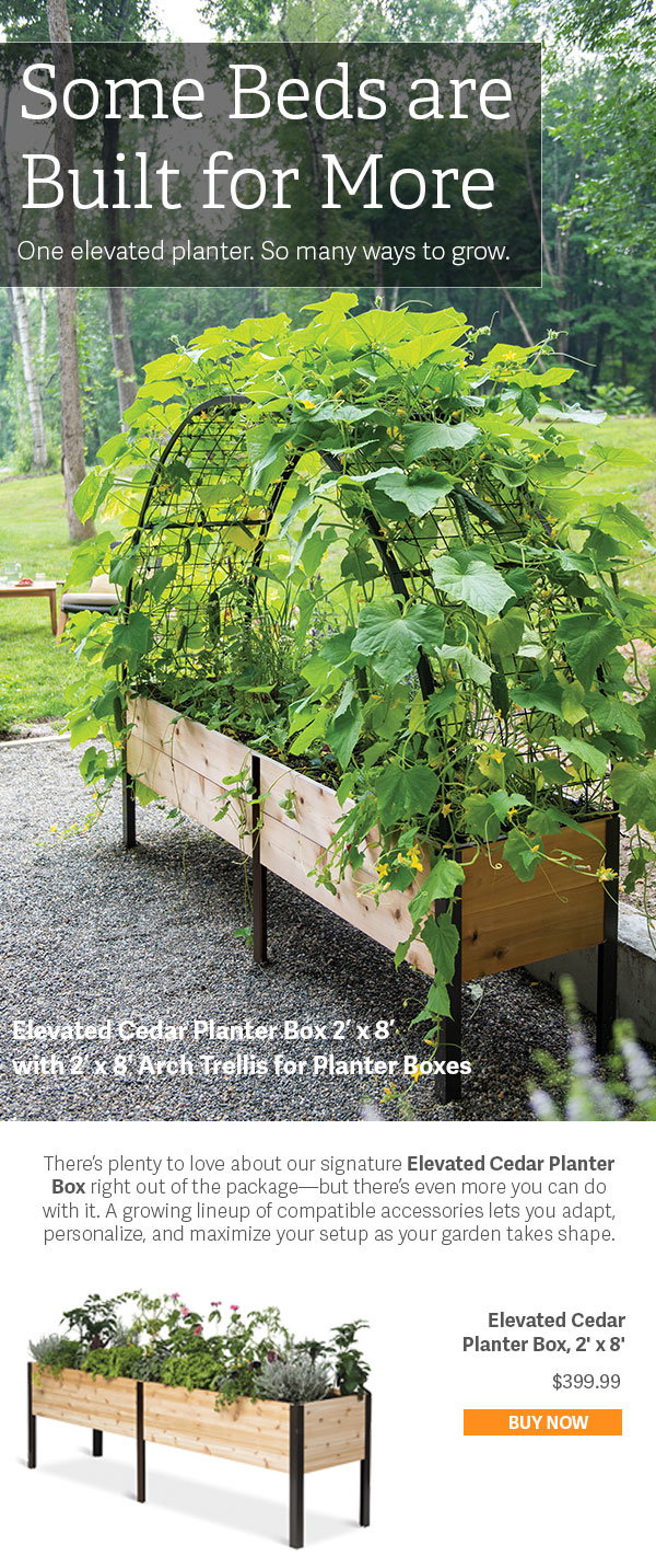 Some Beds are Built for More - One Elevated planter.  So many ways to grow. 