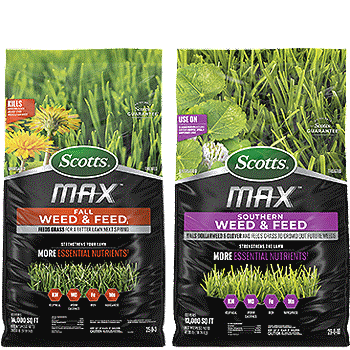 Scotts MAX Weed & Feed