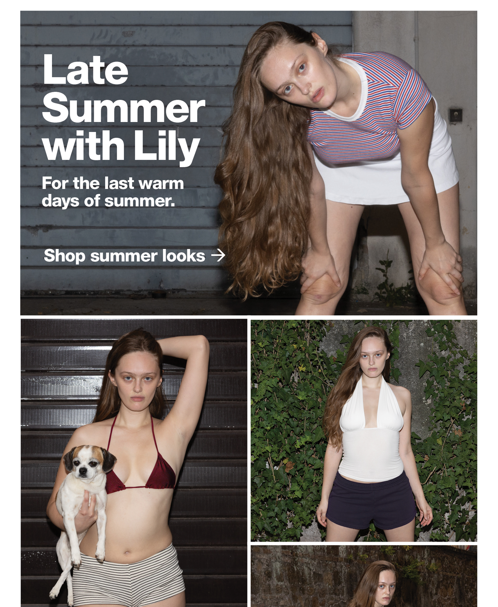 Late Summer with Lily