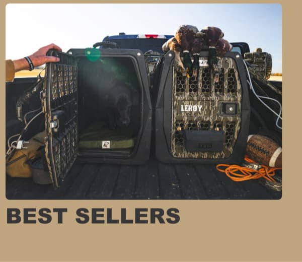 Best Sellers