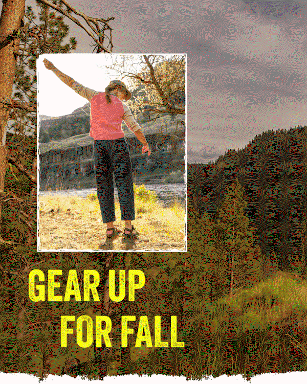 Meet the Fall Lineup