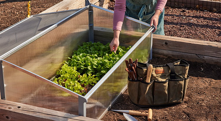 Greenhouses & Cold Frames