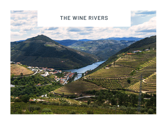 The wine rivers