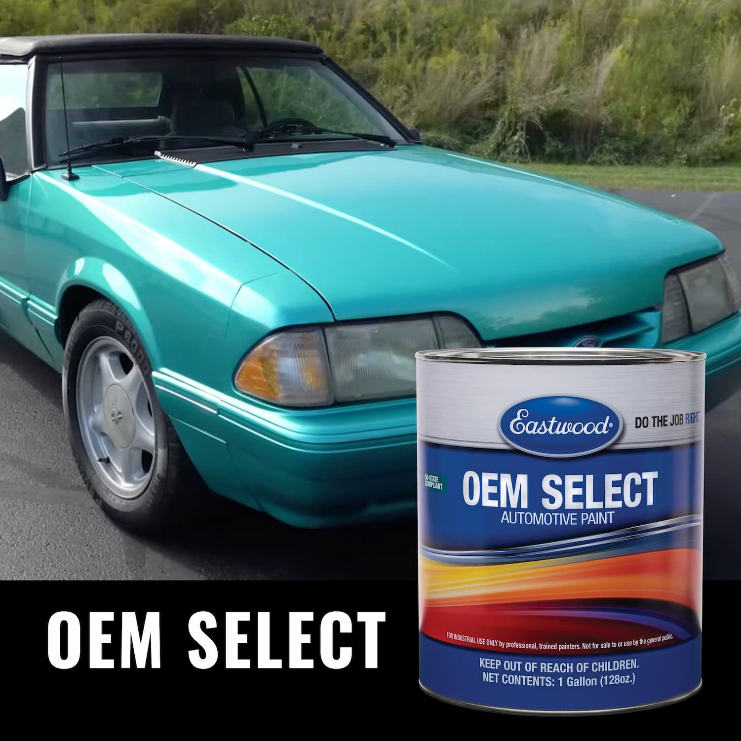 Automotive paint color wheel with classic cars.