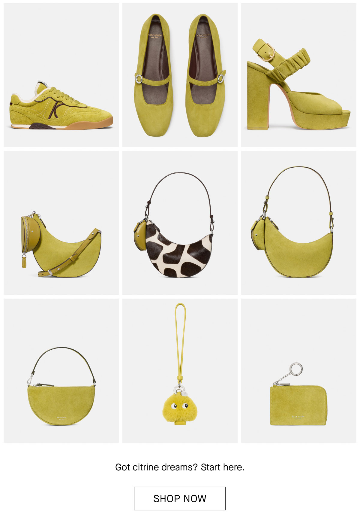 SHOP NOW
