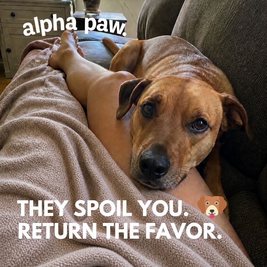 Spoil pets