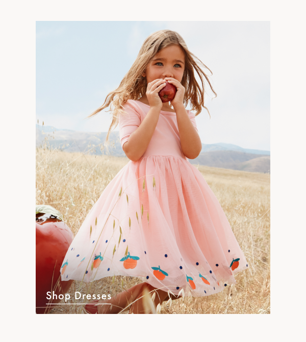 Embroidered Tulle Dress