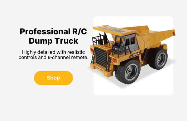 Professional RC Dump Truck