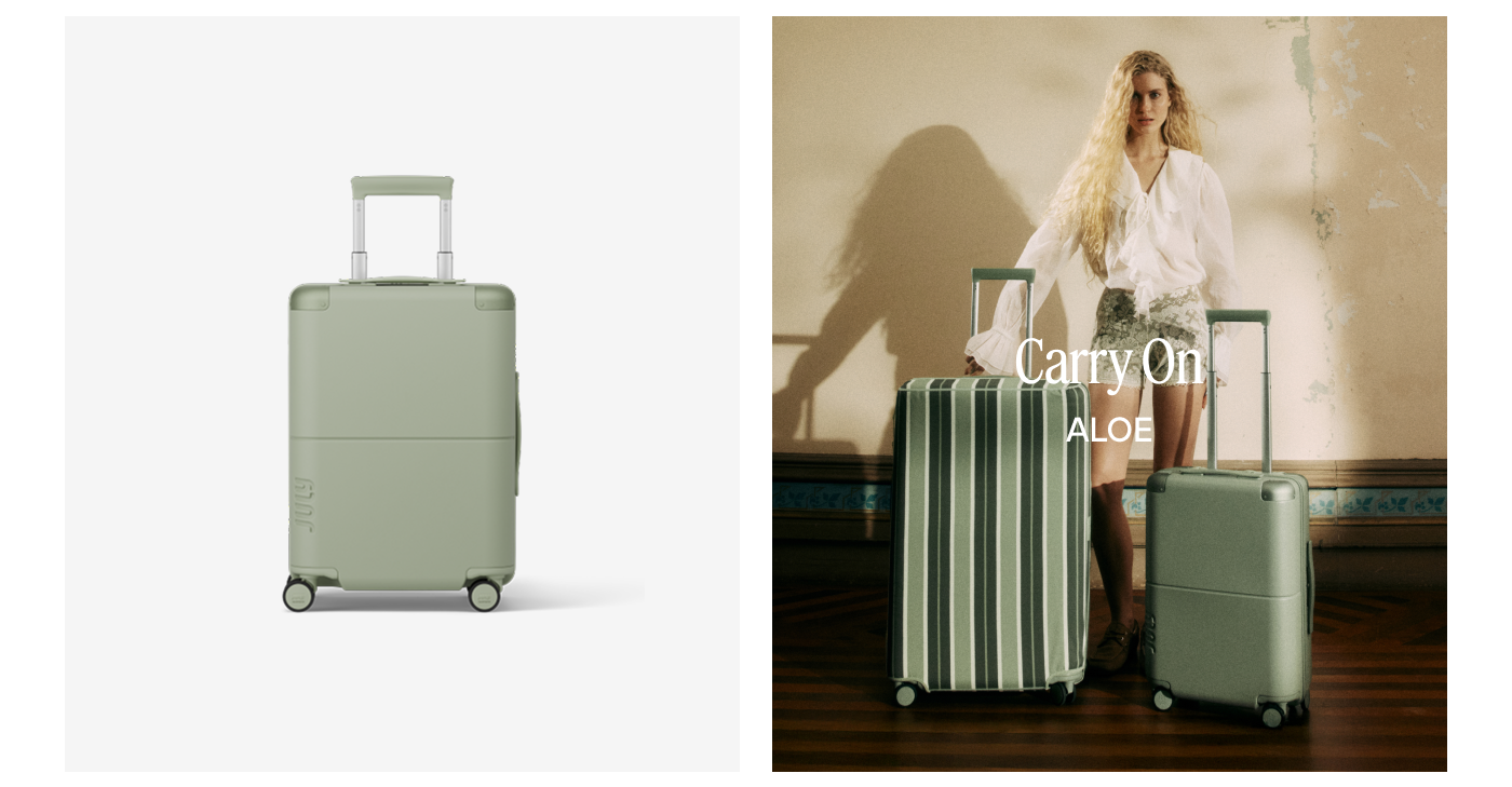 Carry On with CaseSafe™ Aloe