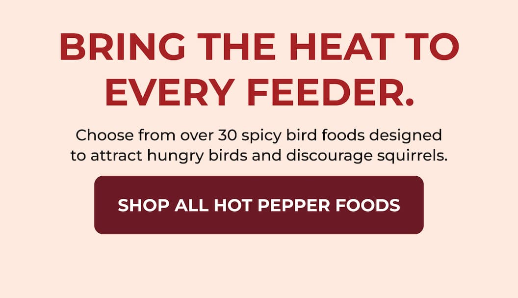 BRING THE HEAT TO EVERY FEEDER.