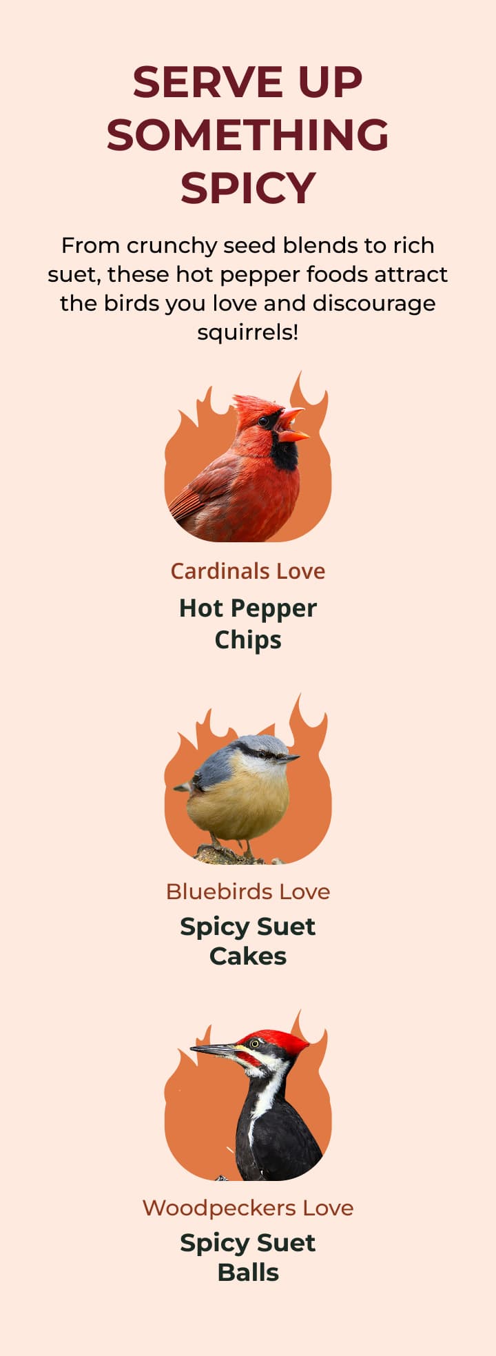 SERVE UP SOMETHING SPICY