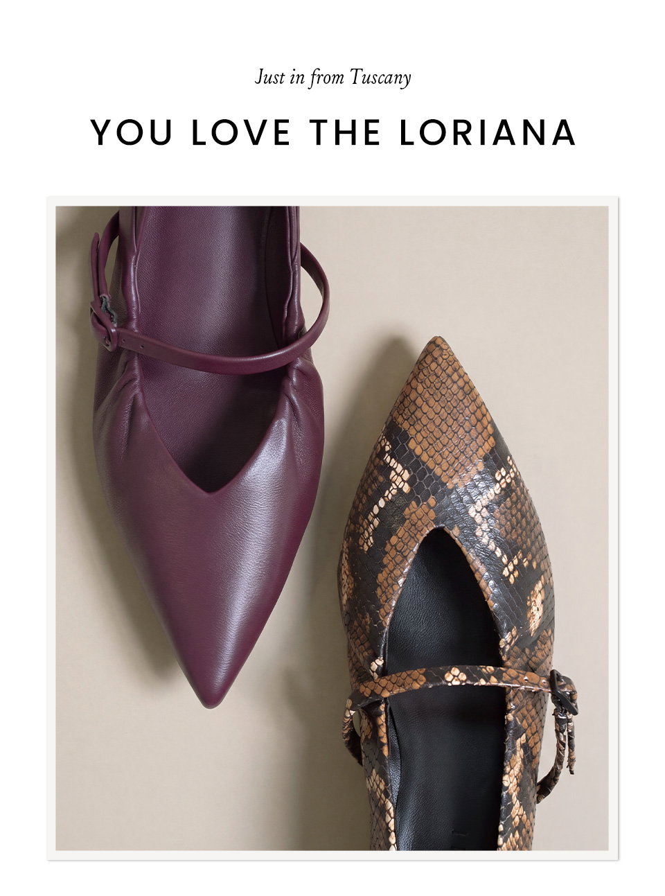 —Just in from Tuscany—  You Love The Loriana