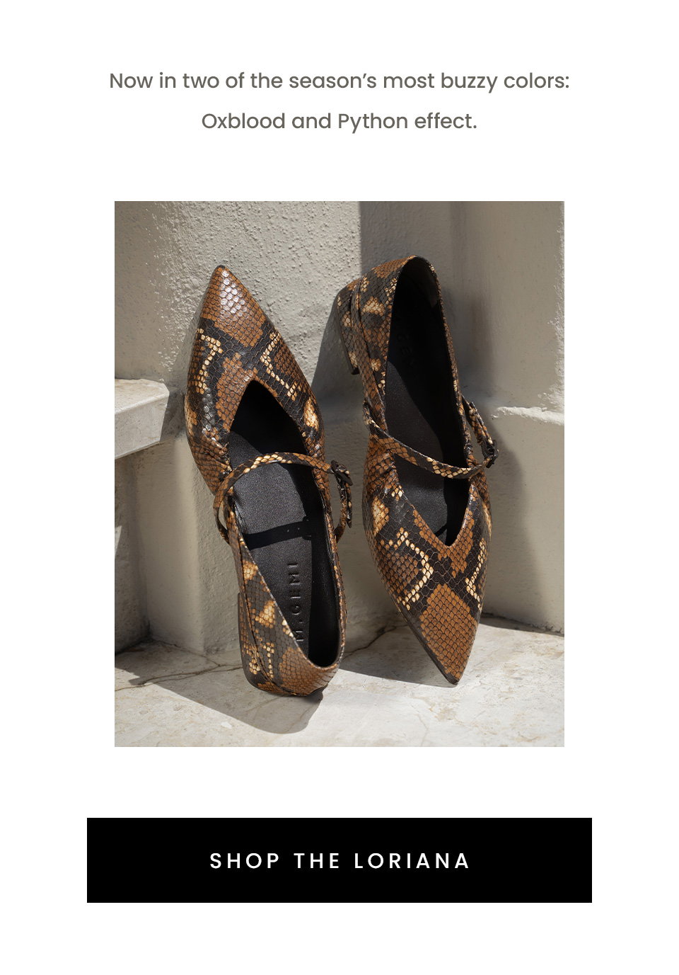 Now in two of the season’s most buzzy colors: Oxblood and Python effect. < Shop The Loriana > 