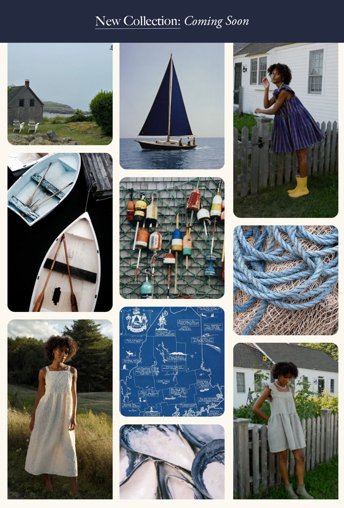 The Blue Hill Collection