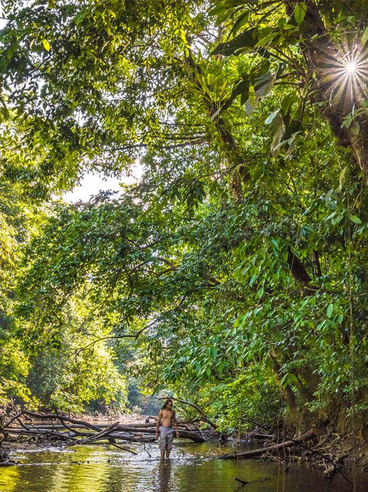 Immersion en Guyane