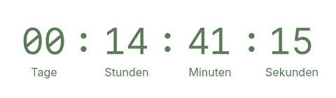CleverTimer.org
