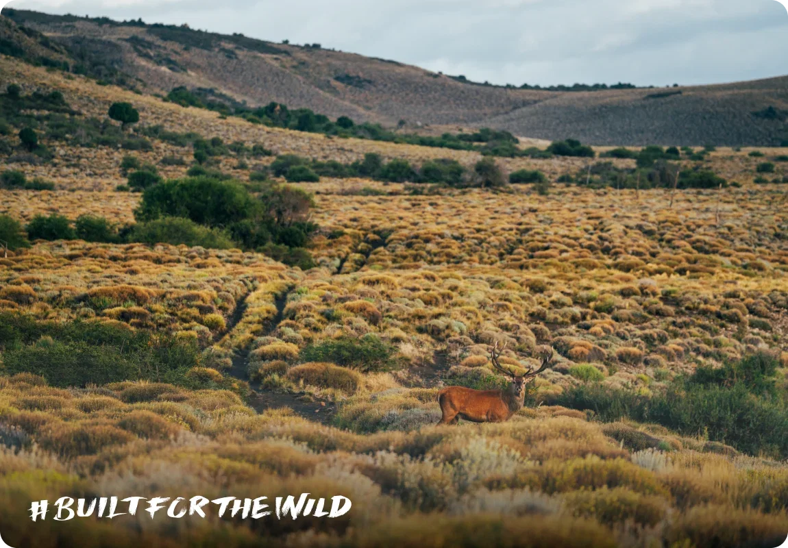 Built For The Wild