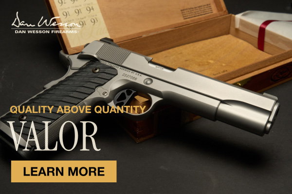 Dan Wesson Valor on GunBroker.com