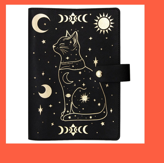 Halloween Cat Book Cover