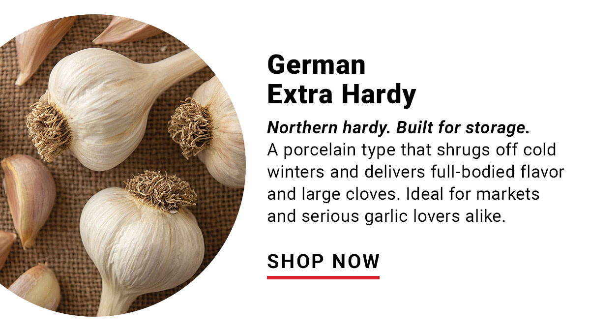 German Extra Hardy: Northern Hardy. Built for Storage. Shop Now