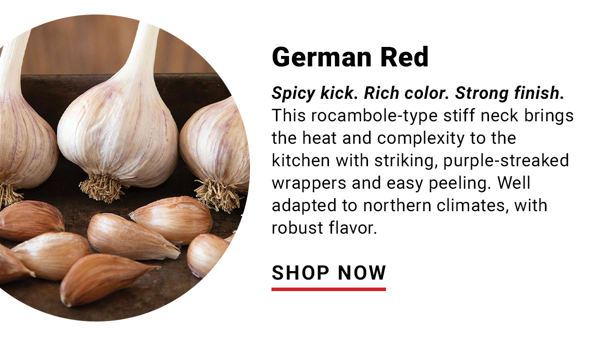 German Red: Spicy Kick. Rich color. Strong Finish.