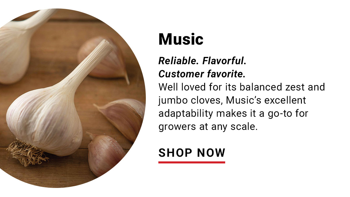 Music: Reliable. Flavorful. Customer Favorite.
