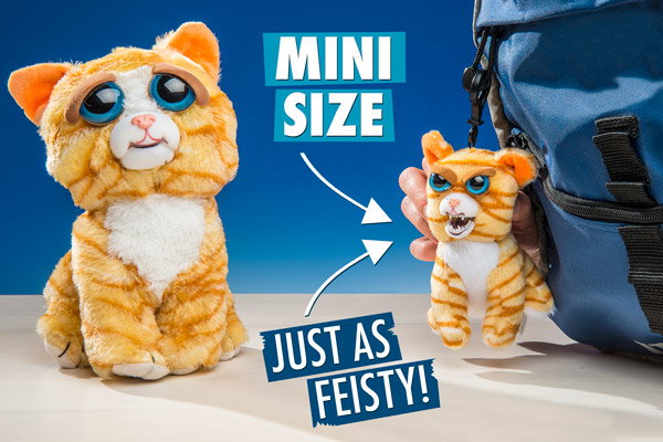 Fiesty Pets!