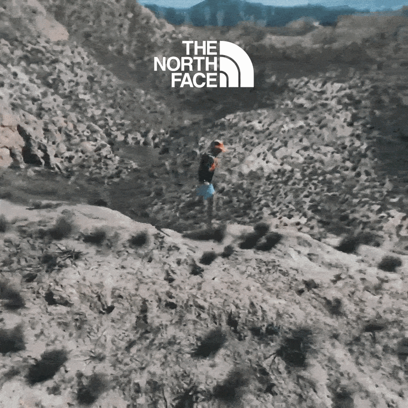 THE NORTH FACE
