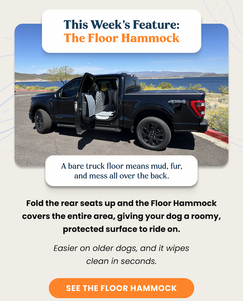 SEE THE FLOOR HAMMOCK