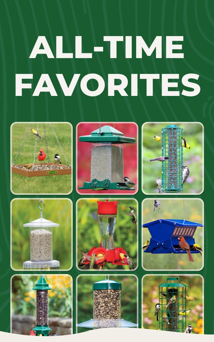 All-Time Favorites