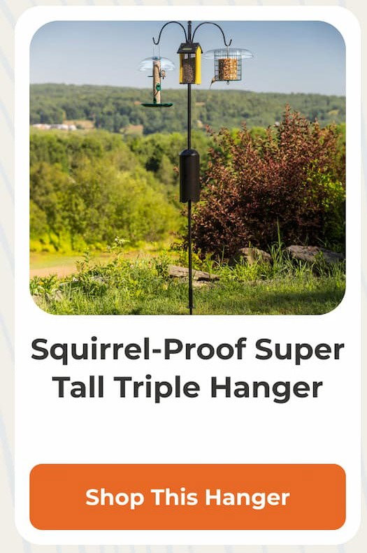 Squirrel-Proof Super Tall Triple Hanger