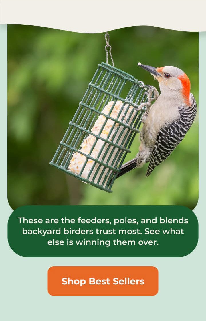These are the feeders, poles, and blends backyard birders trust most. See what else is winning them over.