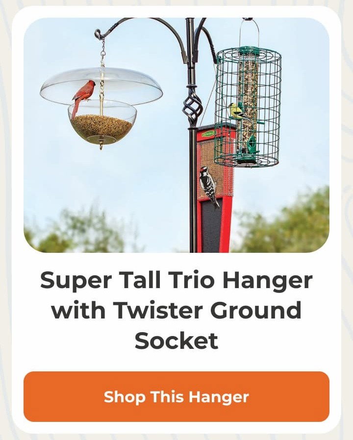 Super Tall Trio Hanger with Twister Ground Socket