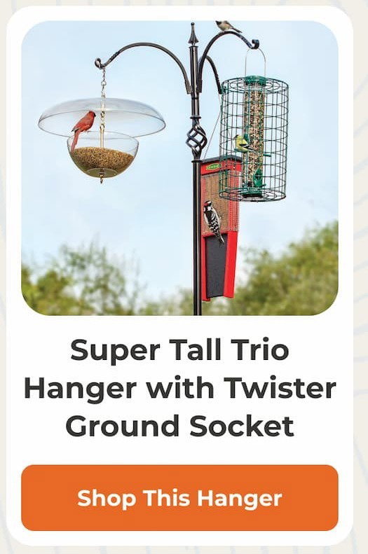 Super Tall Trio Hanger with Twister Ground Socket