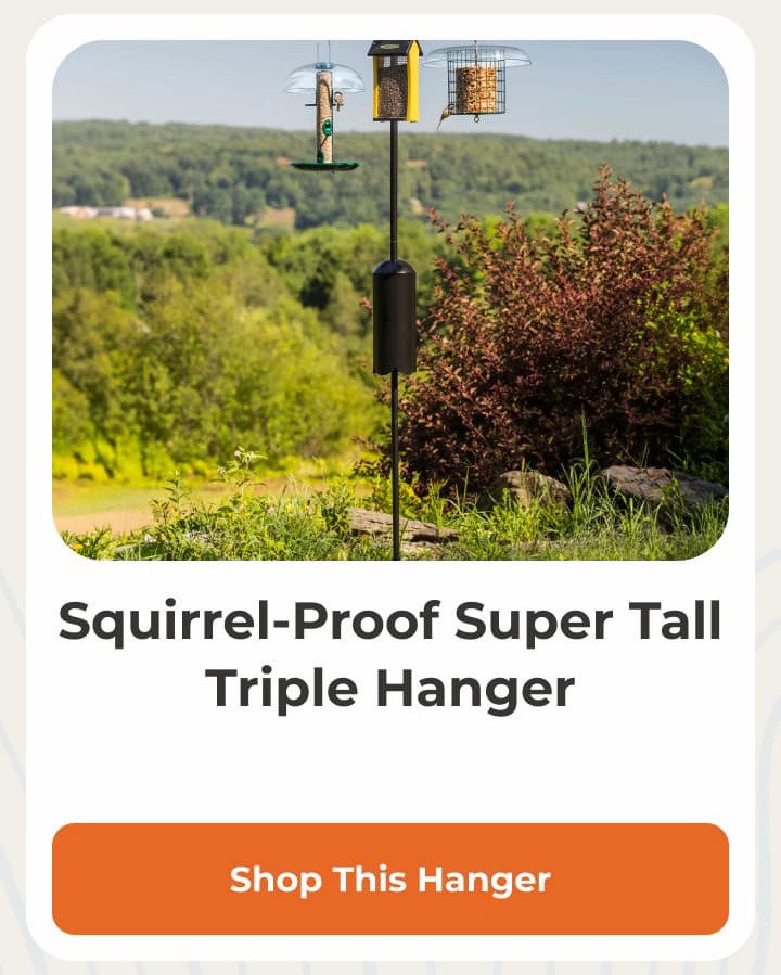 Squirrel-Proof Super Tall Triple Hanger