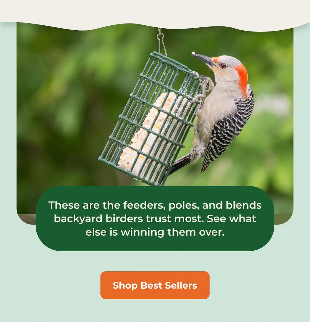 These are the feeders, poles, and blends backyard birders trust most. See what else is winning them over.