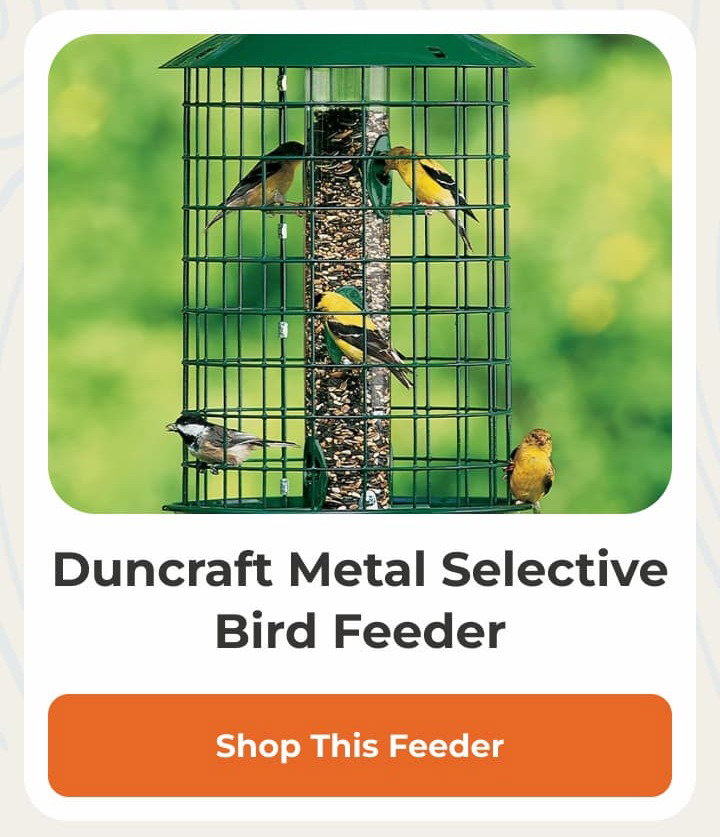 Duncraft Metal Selective Bird Feeder