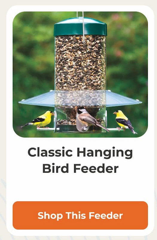 Classic Hanging Bird Feeder