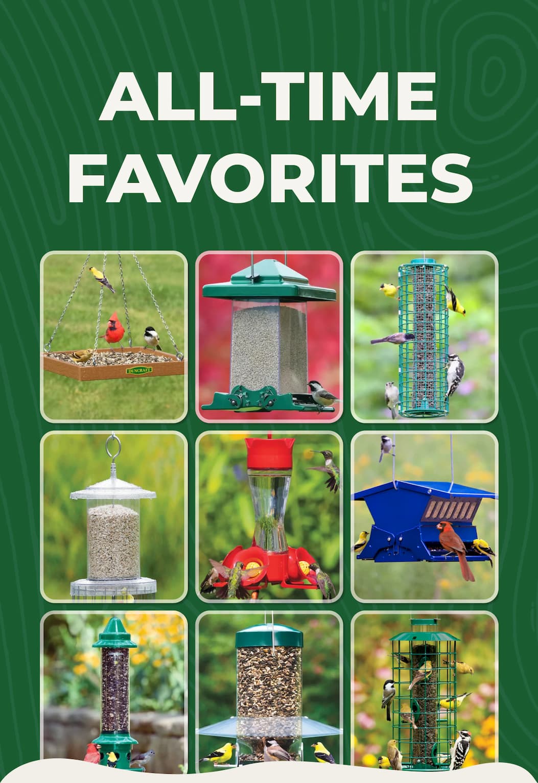 All-Time Favorites