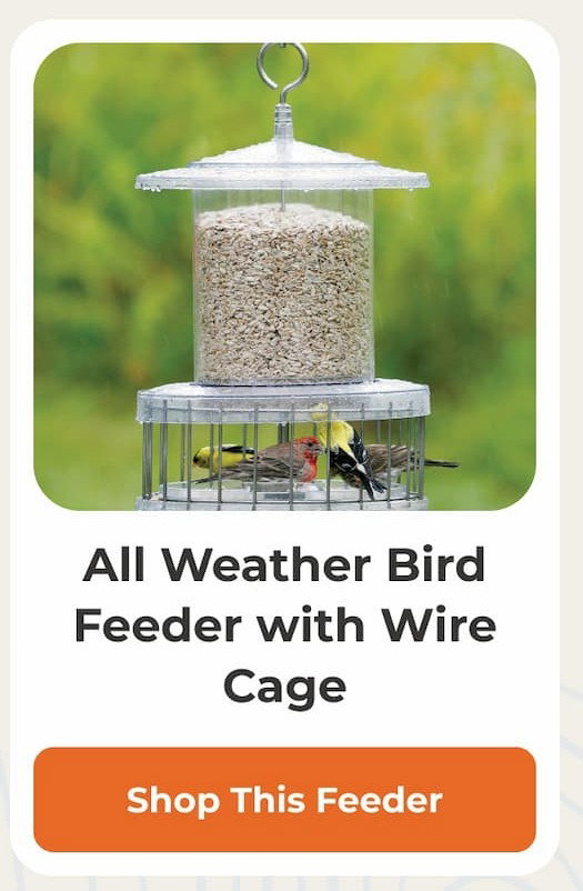 All Weather Bird Feeder with Wire Cage