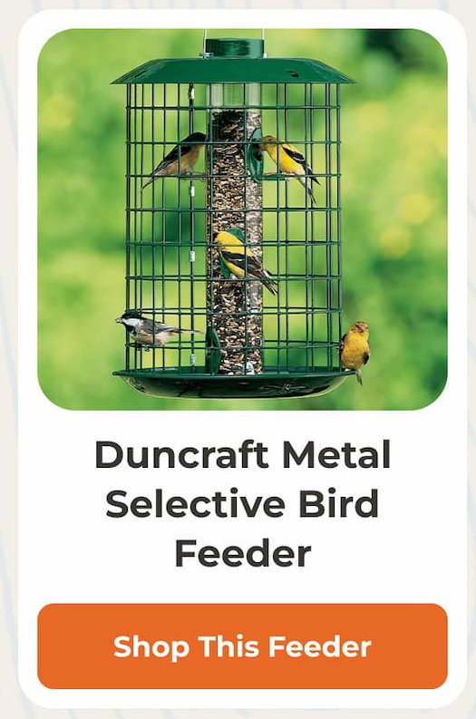 Duncraft Metal Selective Bird Feeder